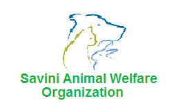 https://www.facebook.com/SaviniAnimalWelfareOrganization?ref=hl